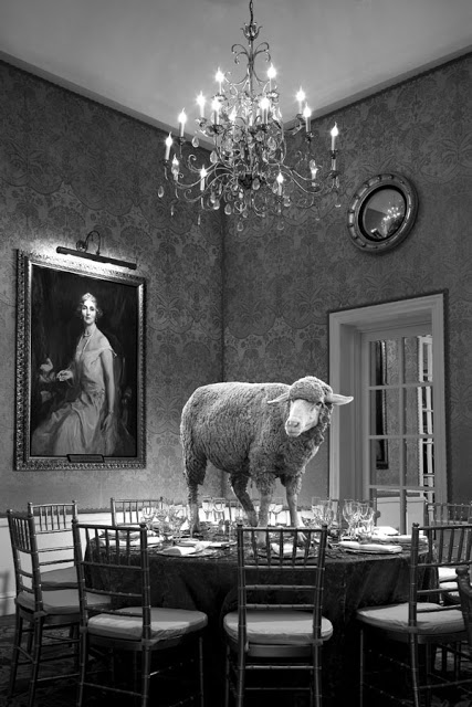 Sheep on a table